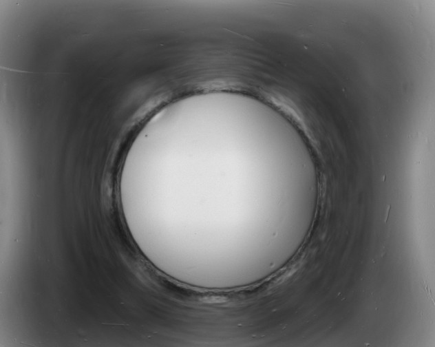 X0000085280298200703090942