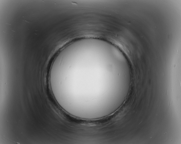 X0000085280299200703090942