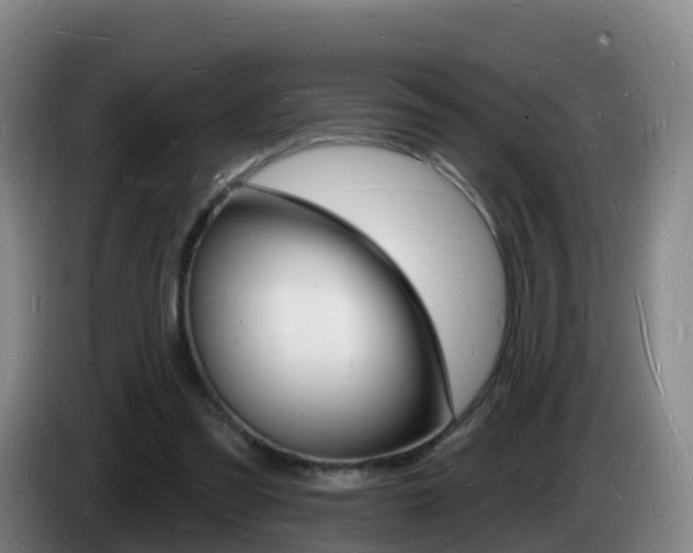 X0000085280301200703090942