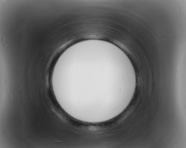 X0000085280302200703090942