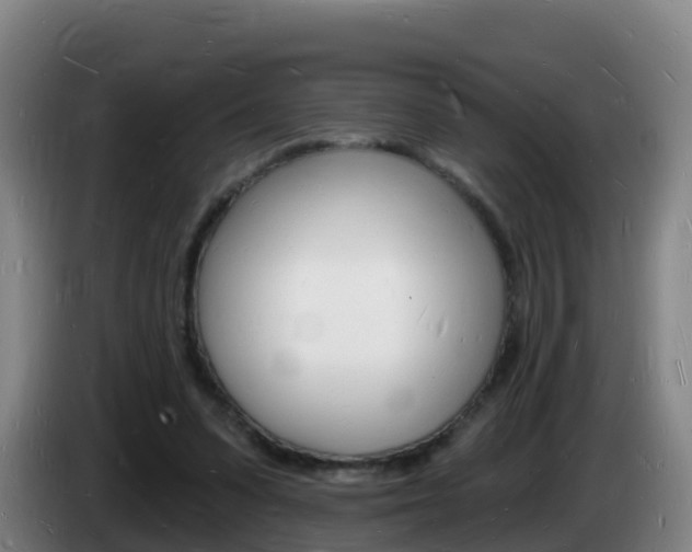 X0000085280303200703090942