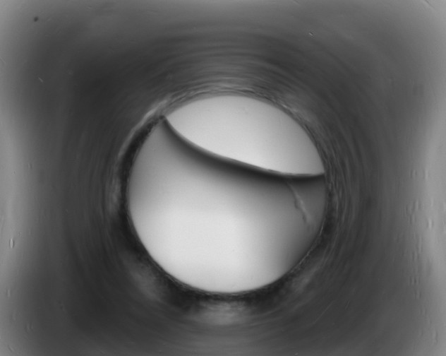 X0000085280304200703090942