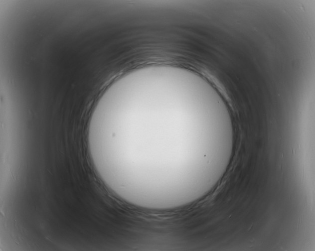 X0000085280305200703090942
