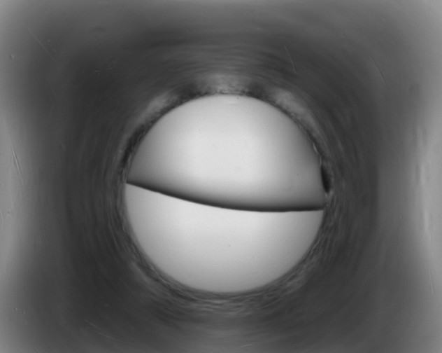 X0000085280306200703090942