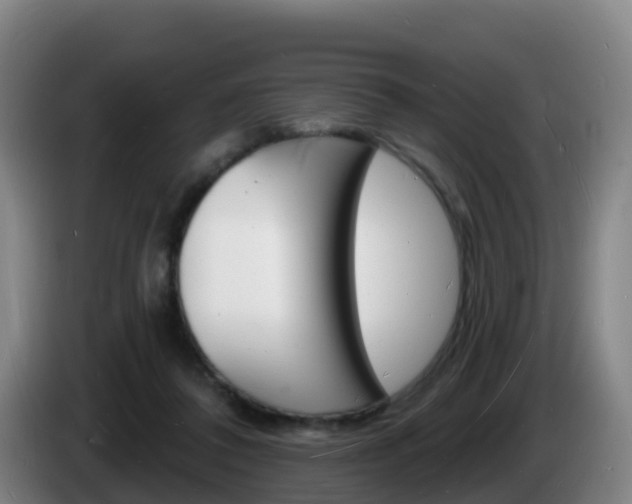 X0000085280308200703090942