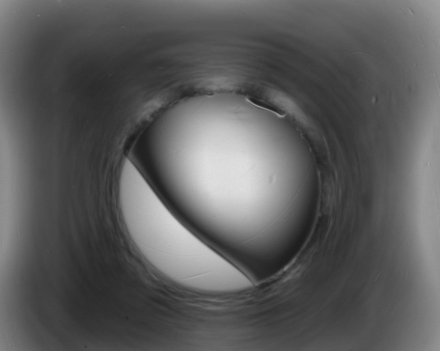 X0000085280309200703090942
