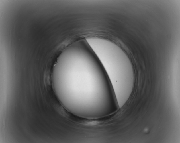 X0000085280313200703090942