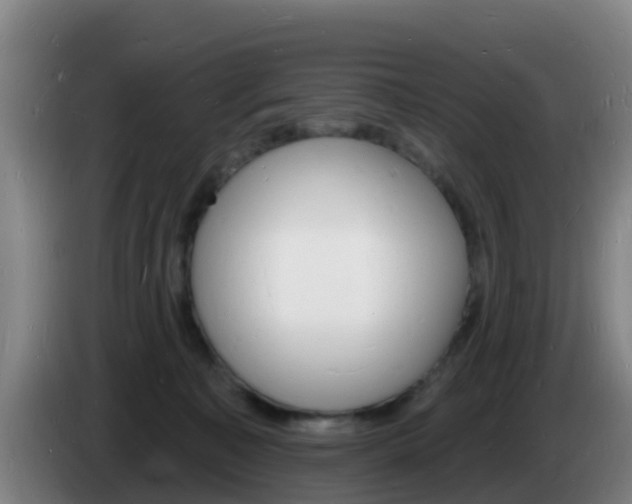 X0000085280323200703090941