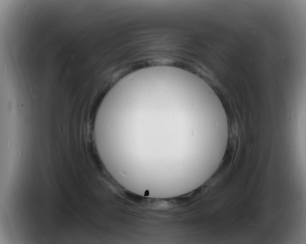 X0000085280330200703090941