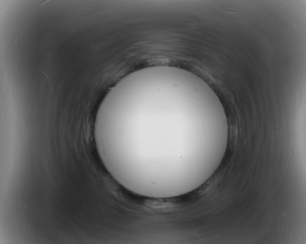 X0000085280331200703090941