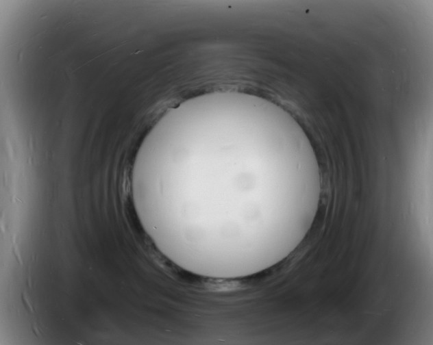 X0000085280334200703090941