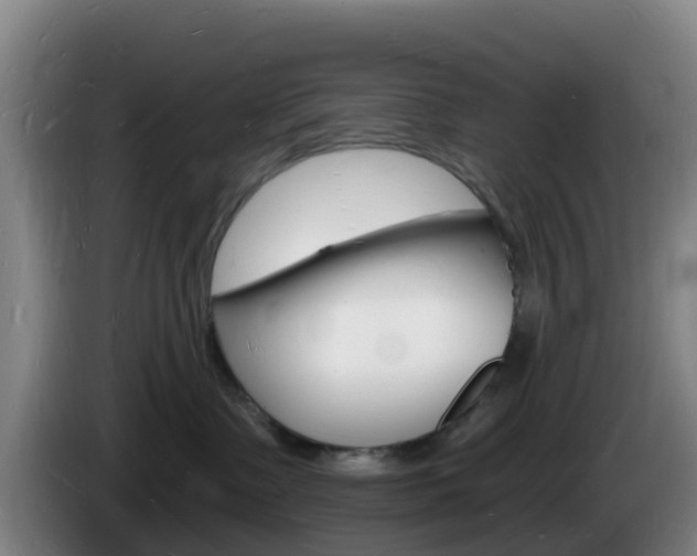 X0000085280335200703090941