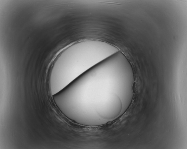 X0000085280338200703090941