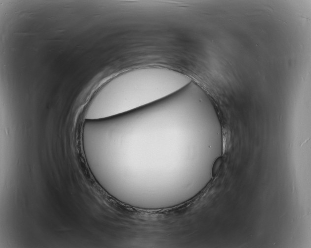 X0000085280339200703090941
