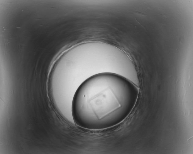 X0000085280340200703090941