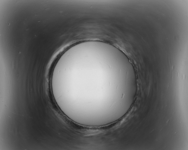 X0000085280342200703090941