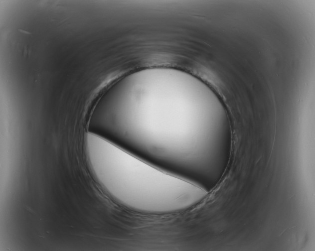 X0000085280345200703090941