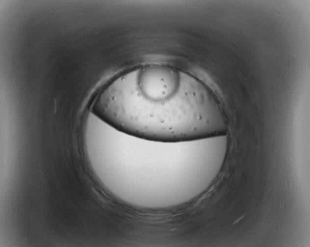 X0000085280346200703090941