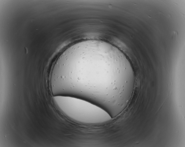 X0000085280347200703090941