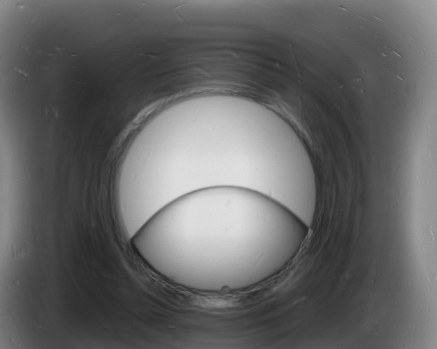 X0000085280348200703090941