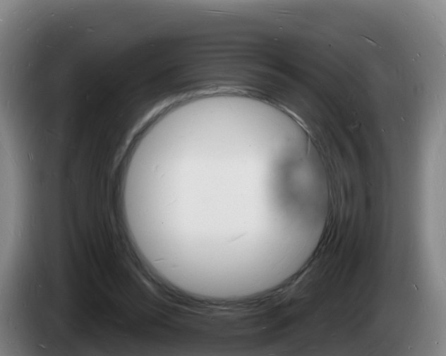 X0000085280350200703090941