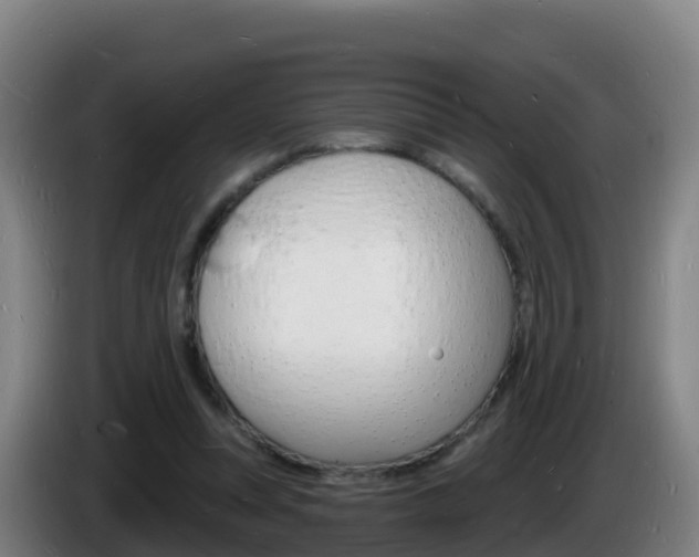 X0000085280351200703090941