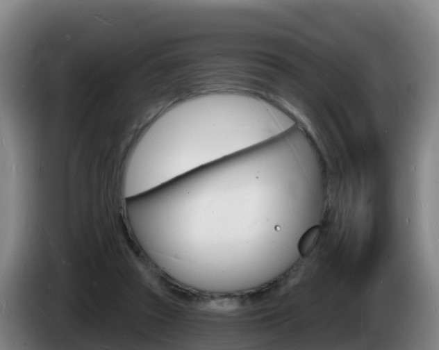 X0000085280353200703090941