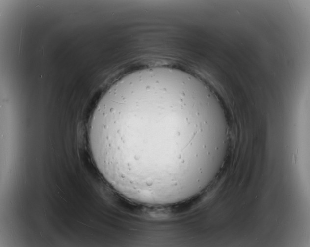 X0000085280359200703090941