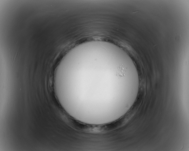 X0000085280365200703090941