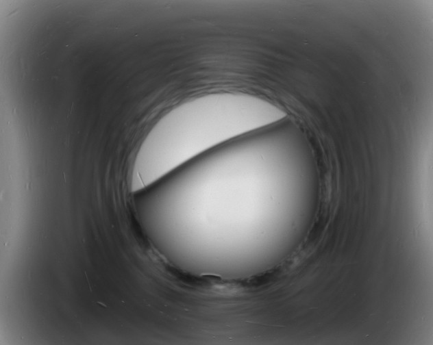 X0000085280376200703090941