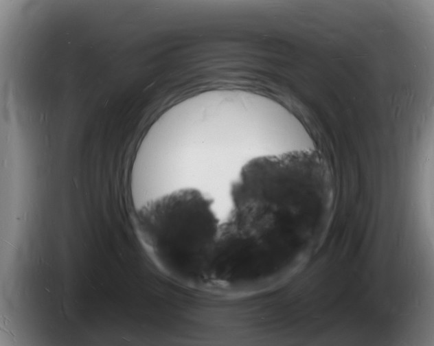 X0000085280381200703090941