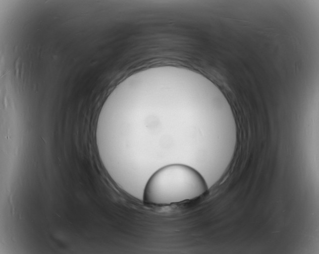 X0000085280382200703090941