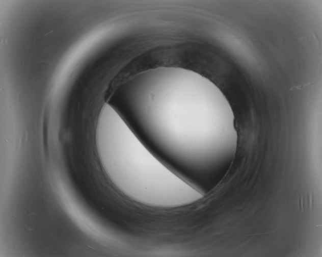X0000085280383200703090941