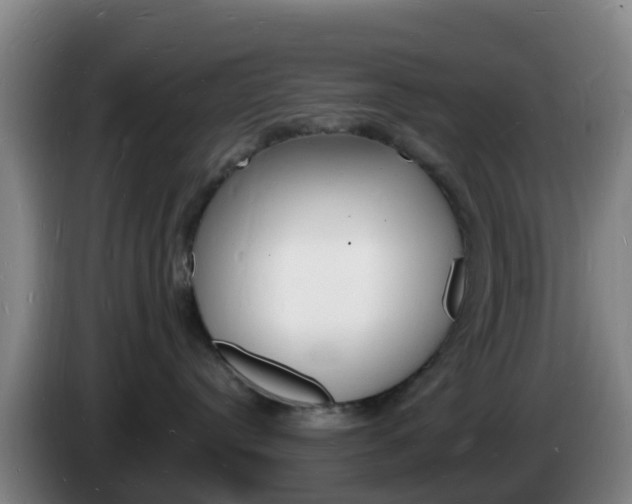 X0000085280384200703090941