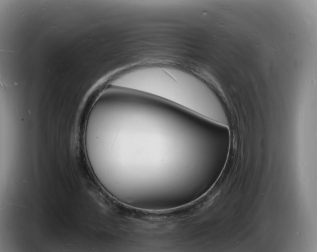 X0000085280388200703090941