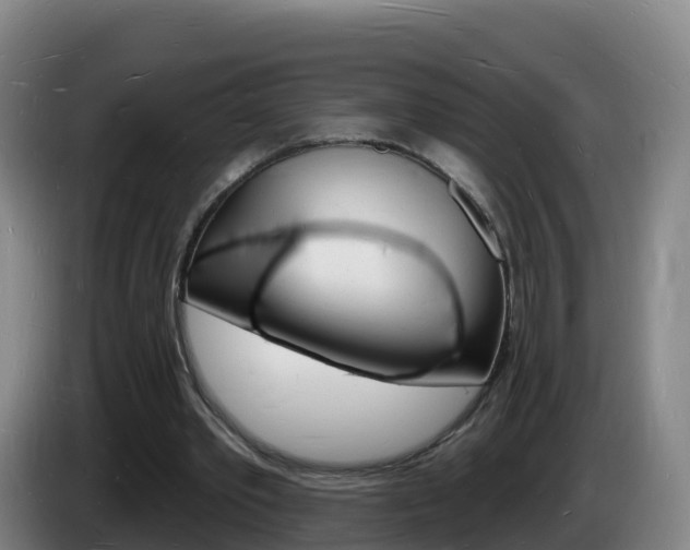 X0000085280389200703090941