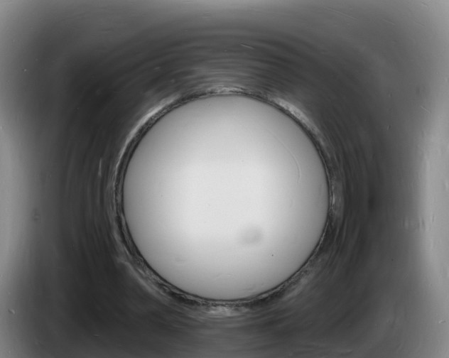 X0000085280390200703090941