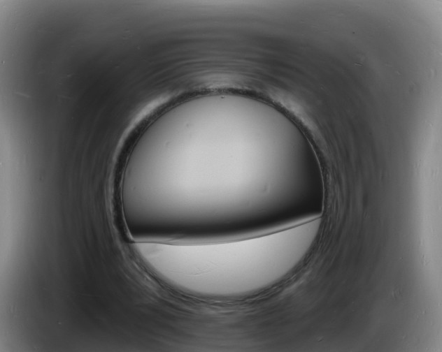 X0000085280391200703090941