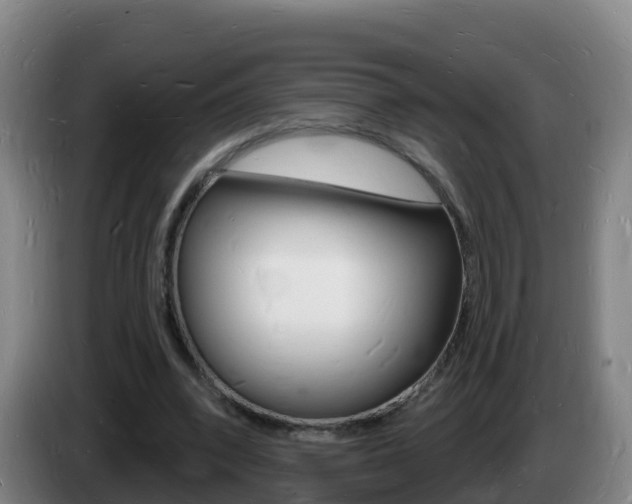 X0000085280392200703090940
