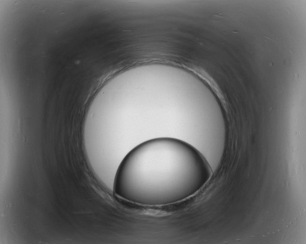X0000085280393200703090940