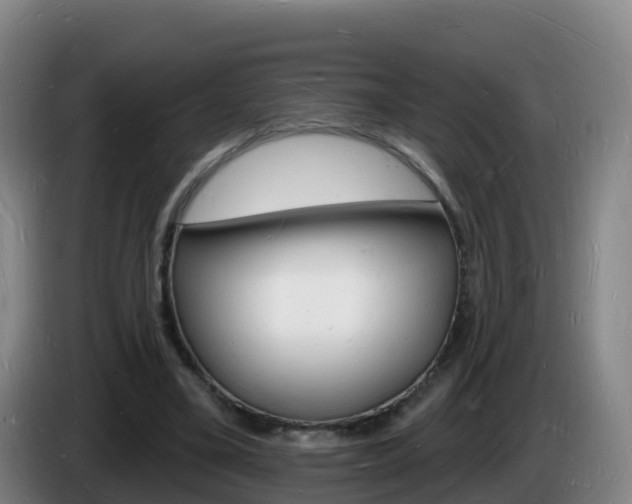 X0000085280395200703090940