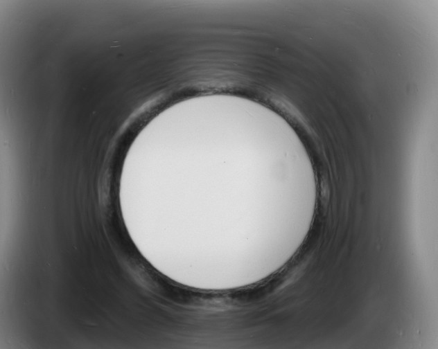 X0000085280396200703090940