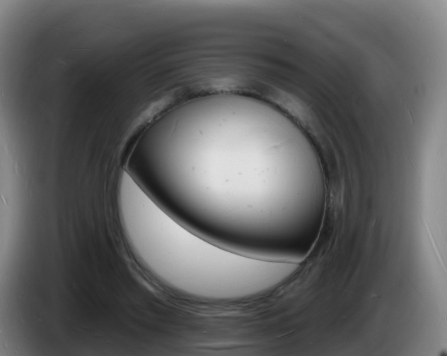 X0000085280397200703090940