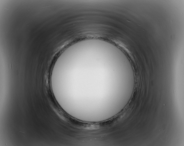 X0000085280398200703090940