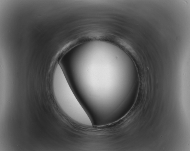 X0000085280399200703090940