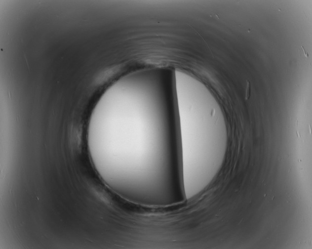 X0000085280404200703090940