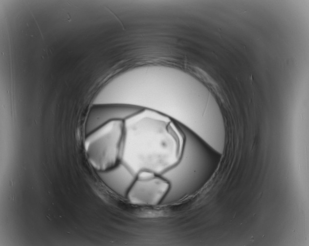 X0000085280405200703090940