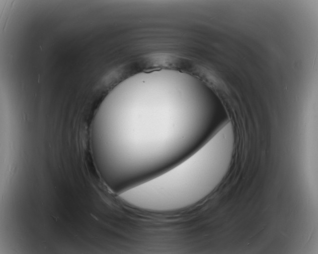 X0000085280413200703090940