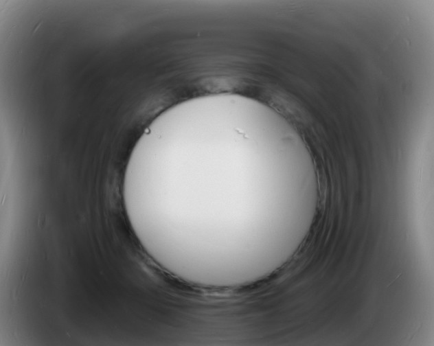 X0000085280414200703090940