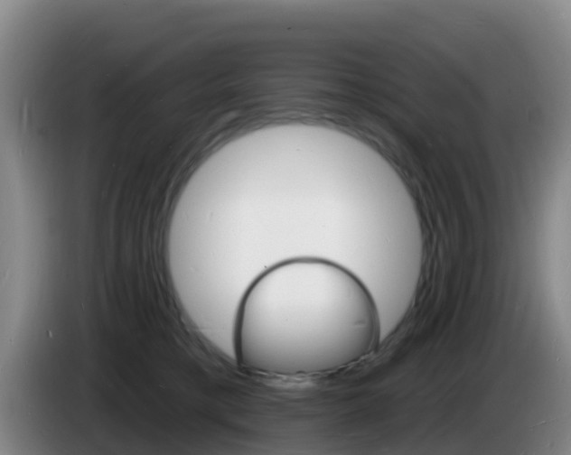 X0000085280421200703090940